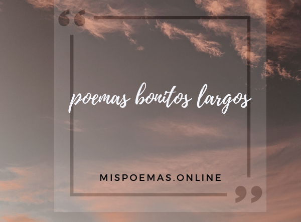 poemas bonitos largos